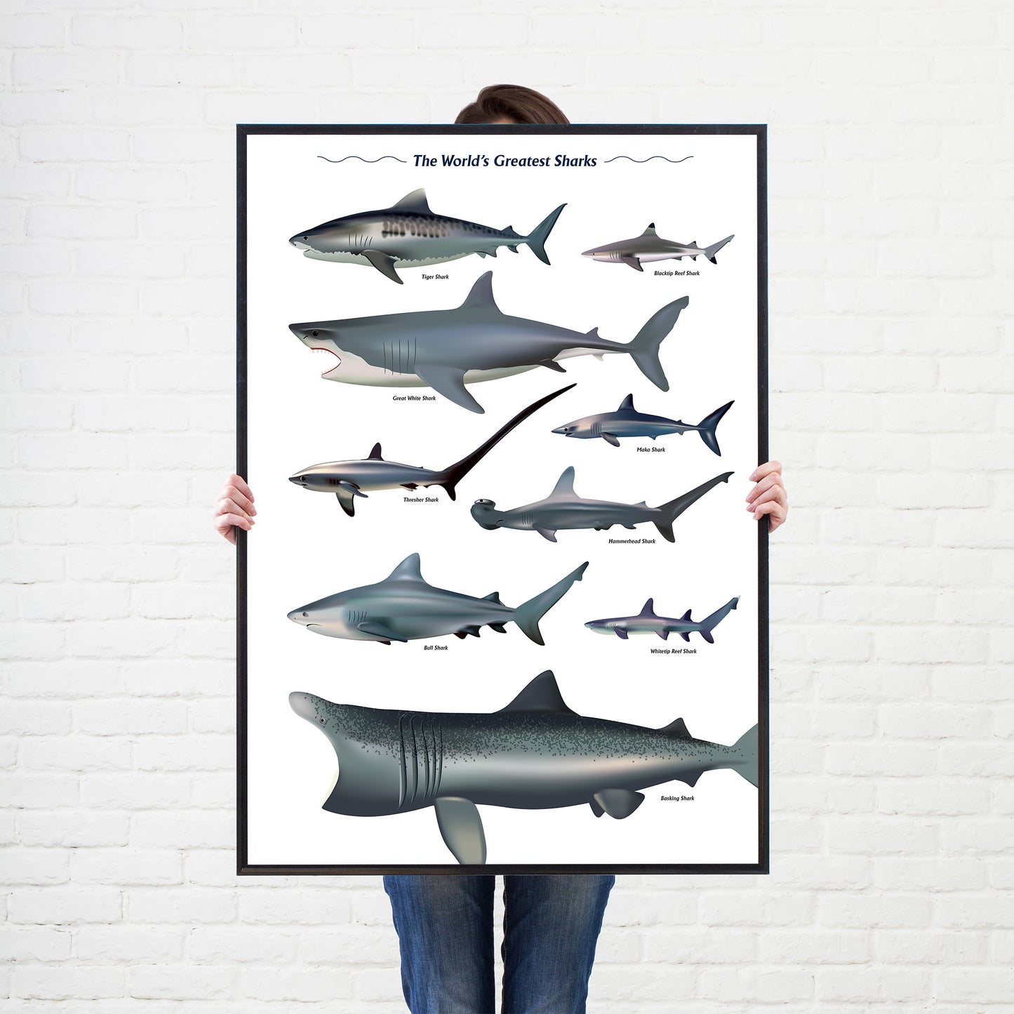 Shark Sea Fish Swimming Poster Wall Print