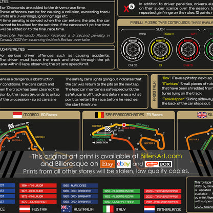 Formula 1 2024 Information Stats Print