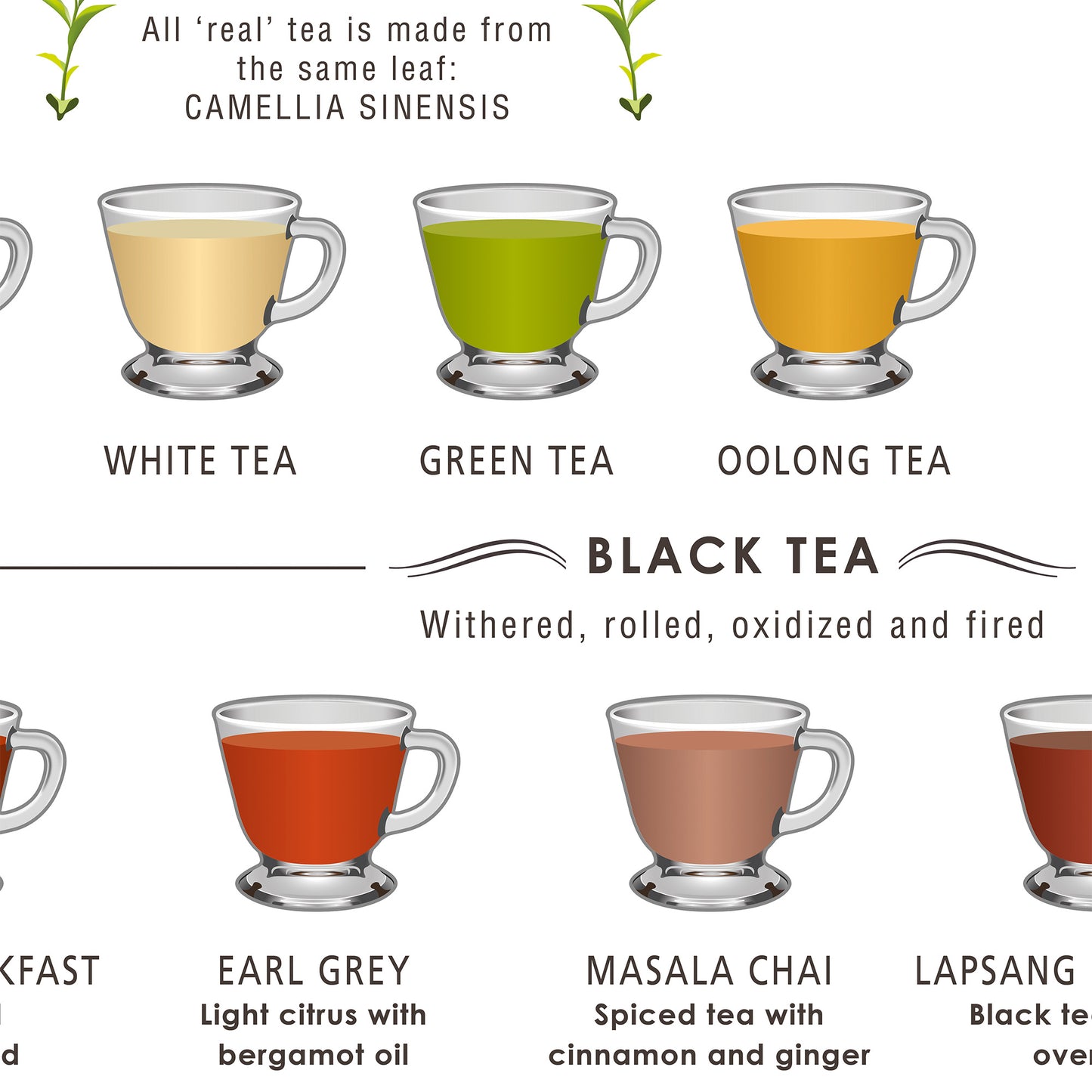 Tea Guide Print (Framed or Unframed)