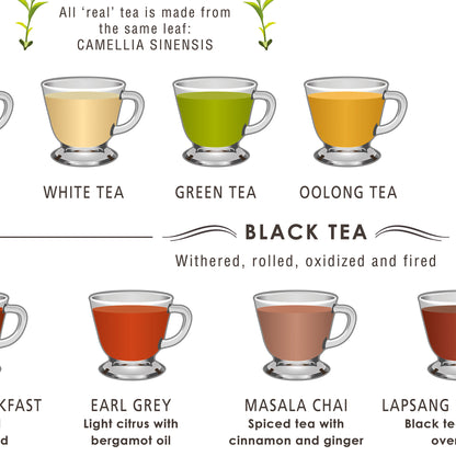 Tea Guide Print (Framed or Unframed)
